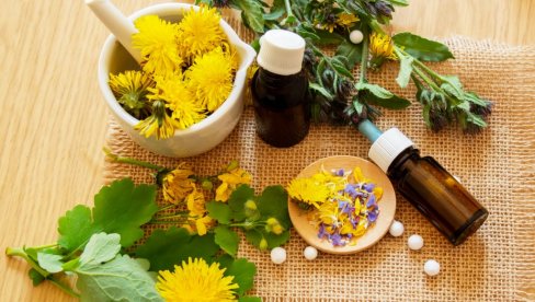 ČAJ OD MASLAČKA ZA MRŠAVLJENJE: Nutricionista otkriva šta je mit, a šta istina ČAJ OD MASLAČKA ZA MRŠAVLJENJE: Nutricionista otkriva šta je mit, a šta istina