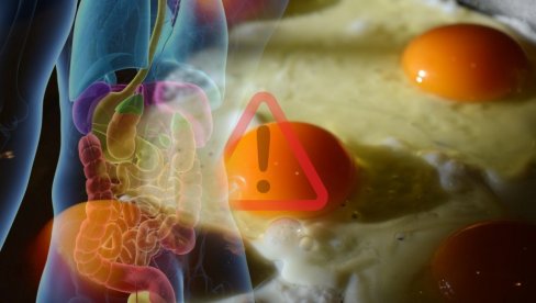 SALMONELA I TOPLOTNI TALAS: Kako da izbegnemo ovu bakteriju, koja je najčešći uzrok trovanja hranom SALMONELA I TOPLOTNI TALAS: Kako da izbegnemo ovu bakteriju, koja je najčešći uzrok trovanja hranom