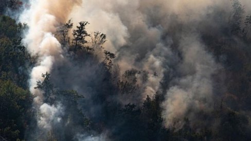 BORBA SA POŽARIMA NA PLANINI VIDLIČ TRAJE: Najkritičnije u Basari kod Pirota BORBA SA POŽARIMA NA PLANINI VIDLIČ TRAJE: Najkritičnije u Basari kod Pirota