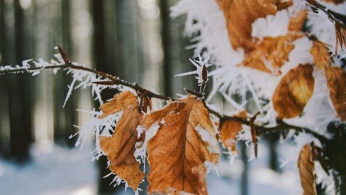 UPOZORENJE RHMZ METEO ALARM - DEBEO MINUS: Vremenska prognoza za petak, 21. februar UPOZORENJE RHMZ METEO ALARM - DEBEO MINUS: Vremenska prognoza za petak, 21. februar