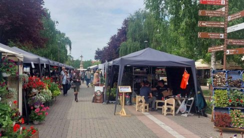 SAJAM CVEĆA I MEDA DO NEDELJE: U Vršcu velika ponuda za uređenje bašta i terasa SAJAM CVEĆA I MEDA DO NEDELJE: U Vršcu velika ponuda za uređenje bašta i terasa