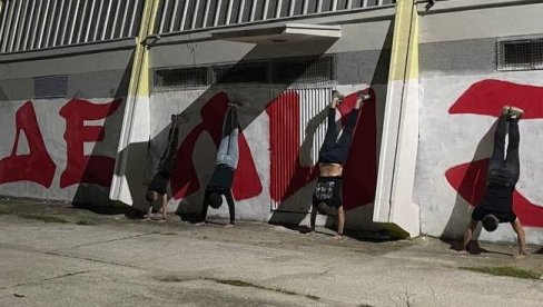 ŠTA JOŠ TREBA DA URADIMO?! Zvezdine delije dube na glavi - stvarno! Evo i zašto! (FOTO)