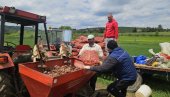 KROMPIR SA KAMENA ČEKA - KIŠU: U selima iznad Nove Varoši počela ovogodišnja setva povrća (FOTO)