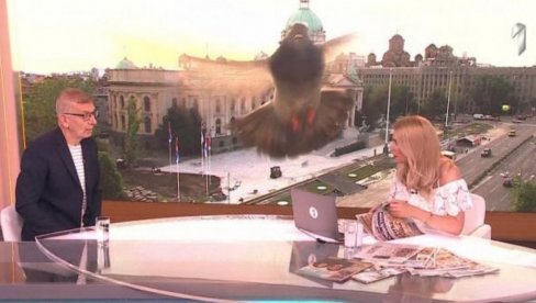 НЕЗВАН ГОСТ: Улетео у јутарњи програм ТВ Прва - унео се у камеру (ВИДЕО)